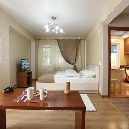 City Center Apartment On Skryganova 11 Appartamento *