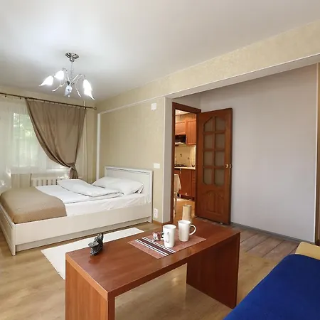 Appartamento City Center Apartment On Skryganova 11 *