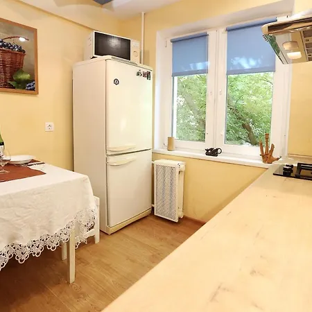 Appartamento City Center Apartment On Skryganova 11 *