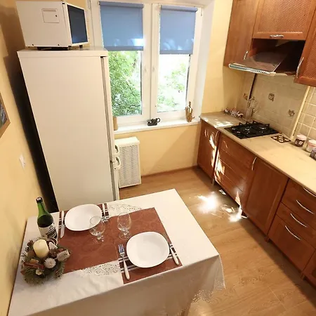 City Center Apartment On Skryganova 11 *